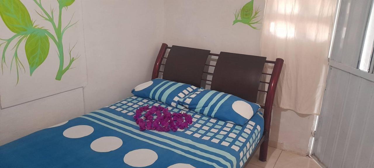Hostel Villa Silvia มินกา ภายนอก รูปภาพ