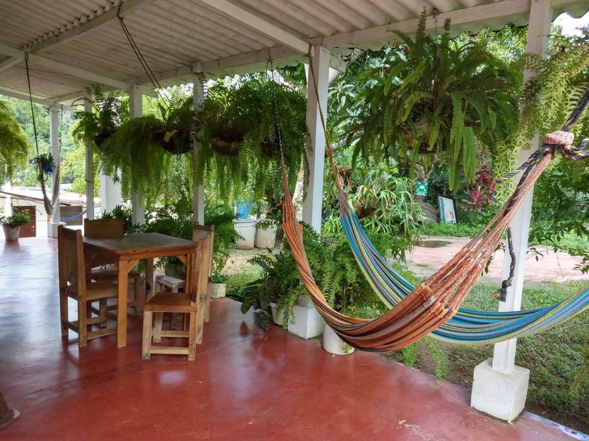 Hostel Villa Silvia มินกา ภายนอก รูปภาพ