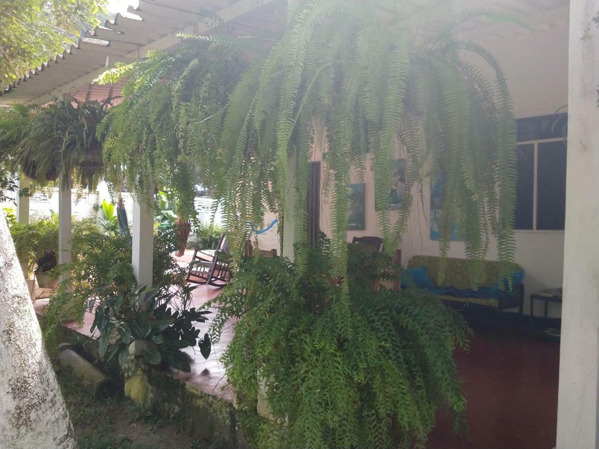 Hostel Villa Silvia มินกา ภายนอก รูปภาพ